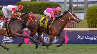 Gulfstream Park Carrera 10 (The 51st Running of The W.L. McKnight)  - 26 de Enero 2019