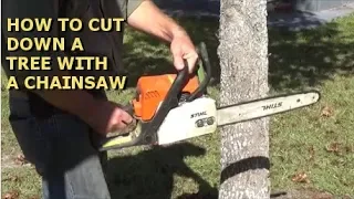 how to cut a tree down with a chainsaw