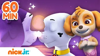 Patrulha Canina | Resgates de SEREIAS da Patrulha Canina! 🧜‍♀️ | Compilação de 60 Minutos | Nick Jr.