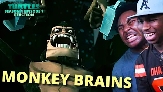 They fighting a MONKEY!! | TMNT 2012 Reaction S1 Ep 7