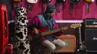Music Man Stingray 5 |  Fender Jass Bass | Fender Precision - Comparativo
