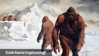 Regarding The Recent Yeti DNA Analysis