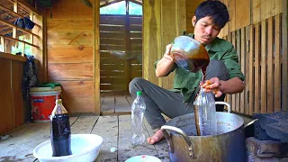 Cook molasses and harvest the whole cassava garden, Cold winter days in the high mountains