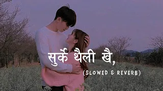 Surke Thaili Khai_(Slowed+Reverb) Anju Panta, Rajan Raj Siwakoti || r e v e r b nepal