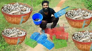 Mouse Trap Fishing Experiment | എലിപ്പെട്ടികൊണ്ട് മീനെ പിടിക്കുന്ന വിദ്യ | M4 TECH |