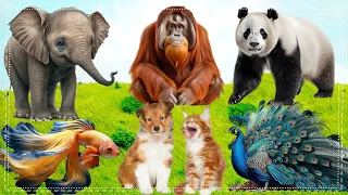 Bustling animal world sounds: Buffalo, Fox, Chicken, Goat, Sheep, - Animal Sounds