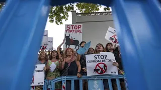 Anti-Stierkampf-Protest in Lissabon: "Wir sind eine neue Gesellschaft"