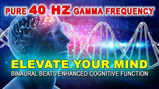 Elevate Your Mind: Pure 40 Hz Gamma Frequency and Binaural Beats for Enhanced Cognitive Function