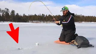 Ice Fishing in Arizona is Actually INSANE!? (Unexpected)