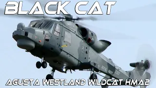 4K UHD Black Cat Solo Display  with Agusta Westland Wildcat HMA2