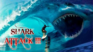 Los Super Avengers-Shark Attack !