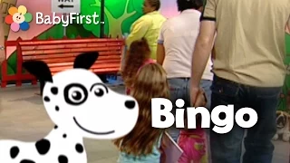 Bingo Kids Dance Song | Music Videos | BabyFirst TV