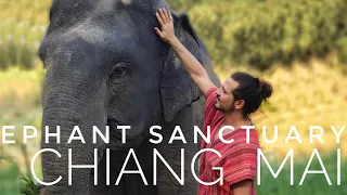 Chiang Mai Elephant Sanctuary Thailand The most incredible day in Maerim Elephant home