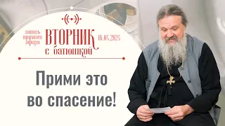 Ответы на вопросы. Вторник с батюшкой. Беседа с прот. Андреем Лемешонком 16 апреля 2024 г. Стрим