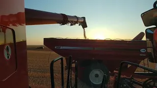 CASE IH 8250 Fully Automated Combine