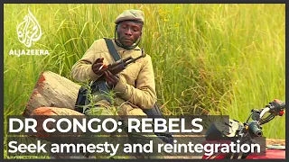 DR Congo: Rebels group members seek amnesty and reintegration