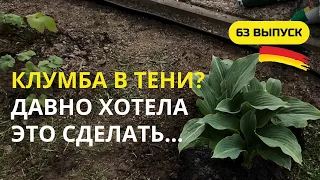 Дача в Германии. 63 выпуск. Что посадить в тени? Хочу клумбу из тенелюбивых цветов и кустарников.