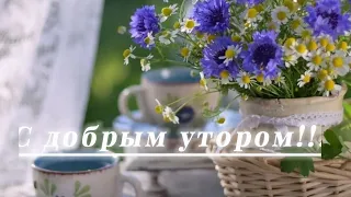 С добрым утром!!!( видео для Ватсапа)