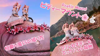 [ FF14 ] ピティー ｘ ロンカマウントで相乗り風ＳＳ撮れちゃう/ Peatie プリンセスデー & エッグハント 2024 / ファイナルファンタジーXIV Final Fantasy 14