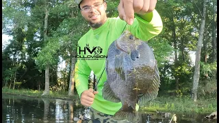 Fishing Tips for Huge BLUEGILL!! - GillSnatchers Ep. 5 - "BlueGill Bullies"