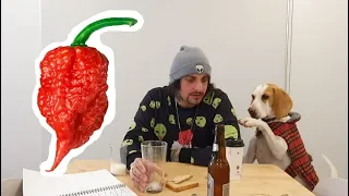 CAROLINA REAPER CHALLENGE (never again)