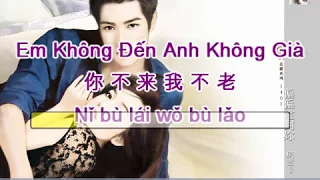 [Vietsub] Em Không Đến Anh Không Già - 你不来我不老 - Cao An & Tây Thiền Nữ Hài - 高安 & 西单女孩