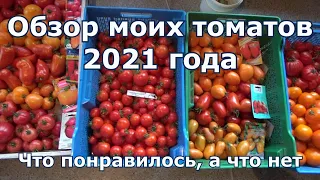 Помидоры которые возьму в 2022 г/Обзор сортов и гибридов томатов 2021 в теплицах и открытом грунте.