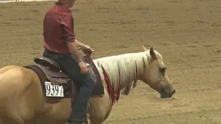 Luke Gingerich and Tinseltowns Whizard (Chloe) 2022 Congress Open Freestyle Reining Reserve Champion