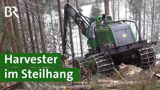 Mit Harvester und Seilwinde: Bäume fällen am Steilhang im Frankenwald | Agrartechnik | Unser Land