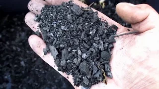 Activating / Charging Biochar For The Garden | The Ultimate Nutrient Carrier, Soil Builder!