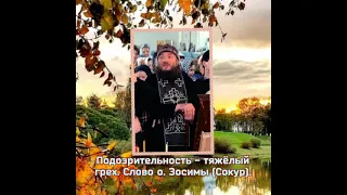 Подозрительность - тяжёлый грех! - Слово схиархимандрита Зосимы (Сокур).