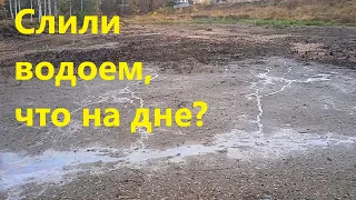 СПУСТИЛИ ПРУД С КАРПОМ, ЧТО С ВОДОЕМОМ?