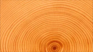 Richard Dawkins - Dating The Earth - Dendrochronology