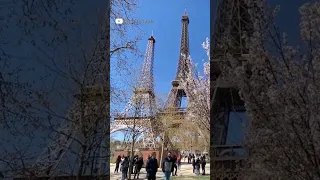 La tour Eiffel a une fille : Eiffela ! 😄