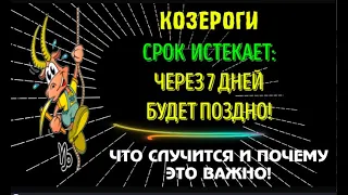 ♑КОЗЕРОГИ СРОК ИСТЕКАЕТ, ЧЕРЕЗ 7 ДНЕЙ БУДЕТ ПОЗДНО! РЕШЕНИЕ ДОЛЖНО БЫТЬ СЕЙЧАС!