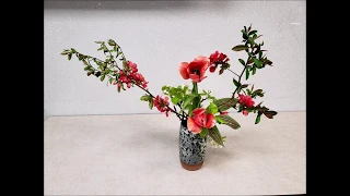 Ikebana with Flowering Spring Branches, Flowers with Bonita