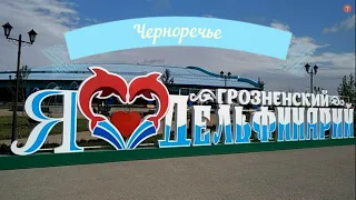 Грозненский дельфинарий / Grozny Dolphinarium