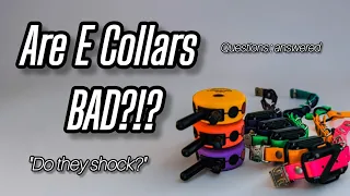 E COLLAR Questions - ANSWERED! | SHOCK COLLARS?!