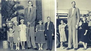 Tallest Man Ever -  Robert Wadlow  | Tallest Man in the World | Gingerline Media