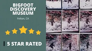 BIGFOOT DISCOVERY MUSEUM Felton, Ca IMPRESSIVE 5 STAR REVIEW by Mark L