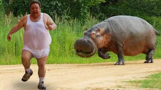 Funniest Animals Scaring People Reactions of 2019 Weekly Compilation 🐢🐪🐏🐍 Funny Pet Videos 2020