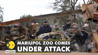 Mariupol Zoo comes under attack as shelling kills a family of Llamas | World English News | WION