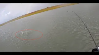 Sharks and Storms: Fishing San Luis Pass in Galveston, TX