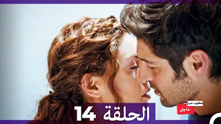 مطلوب حب عاجل الحلقة ال 14