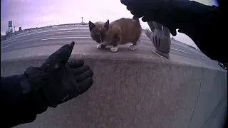 North Kansas City police officer rescues tiny kitten from median wall on I-29
