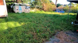 Massive OVERGROWN Lawn Renovation MAKEOVER For Client In Need | 70 Year Old Conrete Paths REVEALED