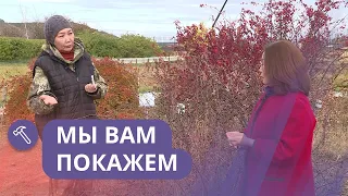 Мы вам покажем: Осенняя посадка растений