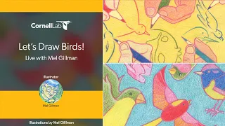 Let's Draw Birds! With Mel Gillman
