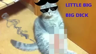 Пародия на клип - LITTLE BIG BIG DICK