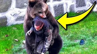 Man Got Approached by a Crying Bear While She Was In Labor, But A Year Later, She Does This!